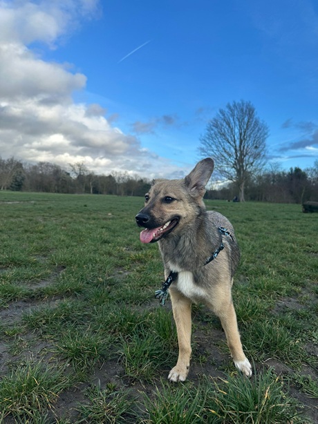 IMG-20260402-WA0013A