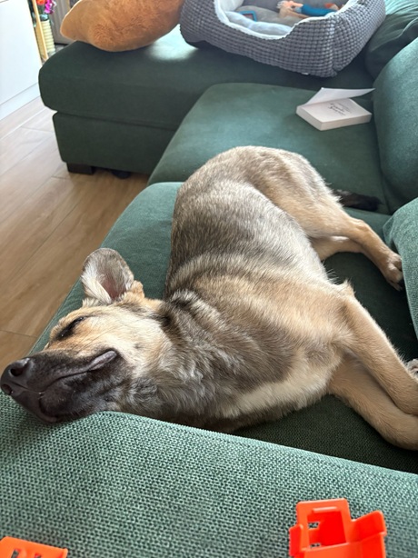 IMG-20260402-WA0014A