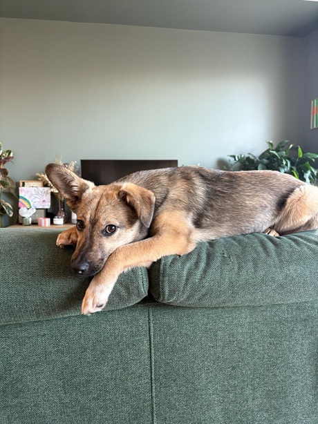 IMG-20260402-WA0015A