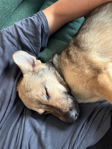 IMG-20260402-WA0016A