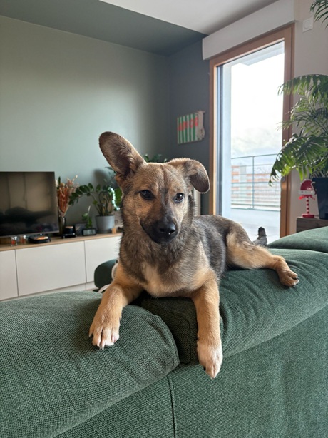 IMG-20260402-WA0017A