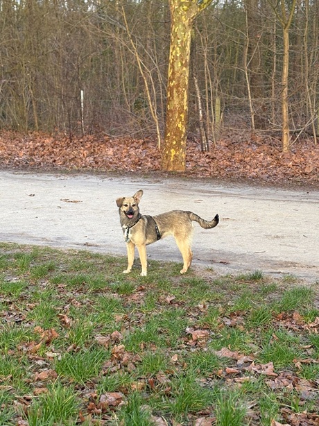 IMG-20260402-WA0018A