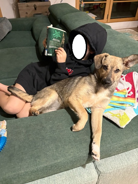 IMG-20260402-WA0019A