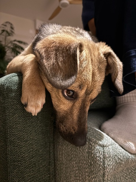 IMG-20260402-WA0020A