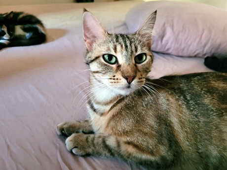 MIYUKI